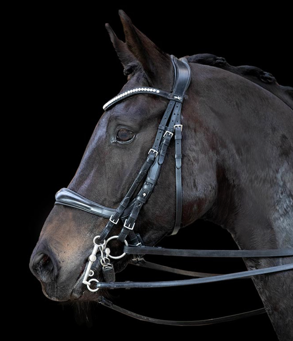 Schockemohle Equitus Gamma Double Bridle Bridles Schockemohle - Equestrian Fashion Outfitters