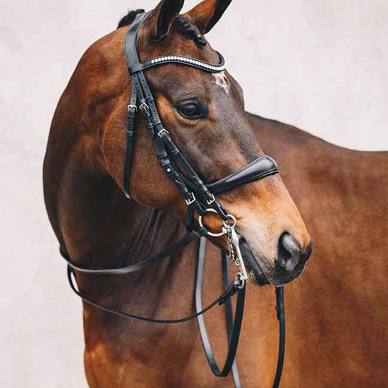 Schockemohle Equitus Gamma Double Bridle Bridles Schockemohle - Equestrian Fashion Outfitters