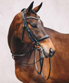 Schockemohle Equitus Gamma Double Bridle Bridles Schockemohle - Equestrian Fashion Outfitters