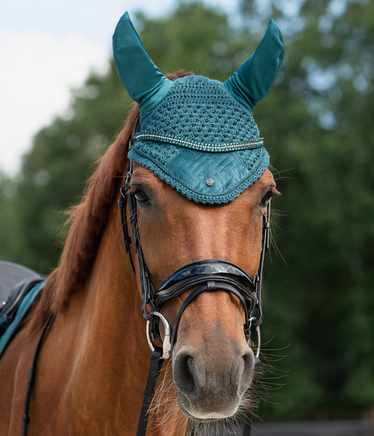 QHP Browband browband QHP - Equestrian Fashion Outfitters