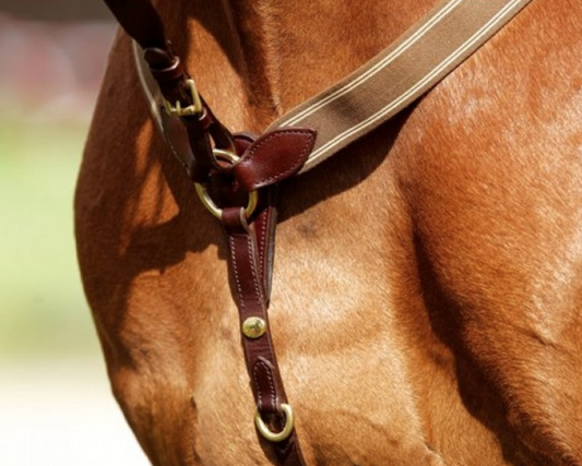 Schockemohle Breastplate with Running Attachment Breastplate Schockemohle - Equestrian Fashion Outfitters