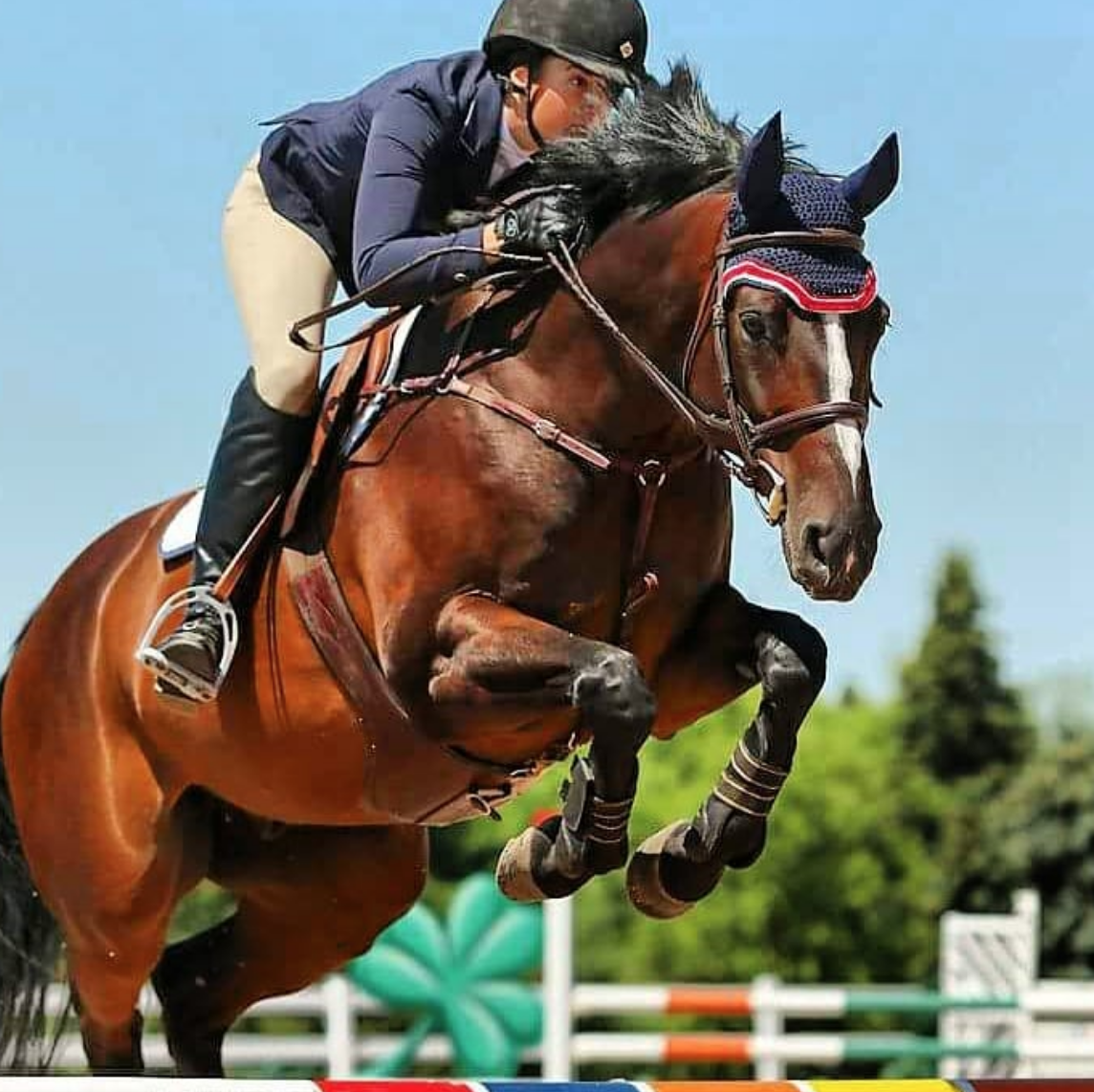 Iris Bayer Ladies Technical Show Jacket Show Jackets Iris Bayer - Equestrian Fashion Outfitters