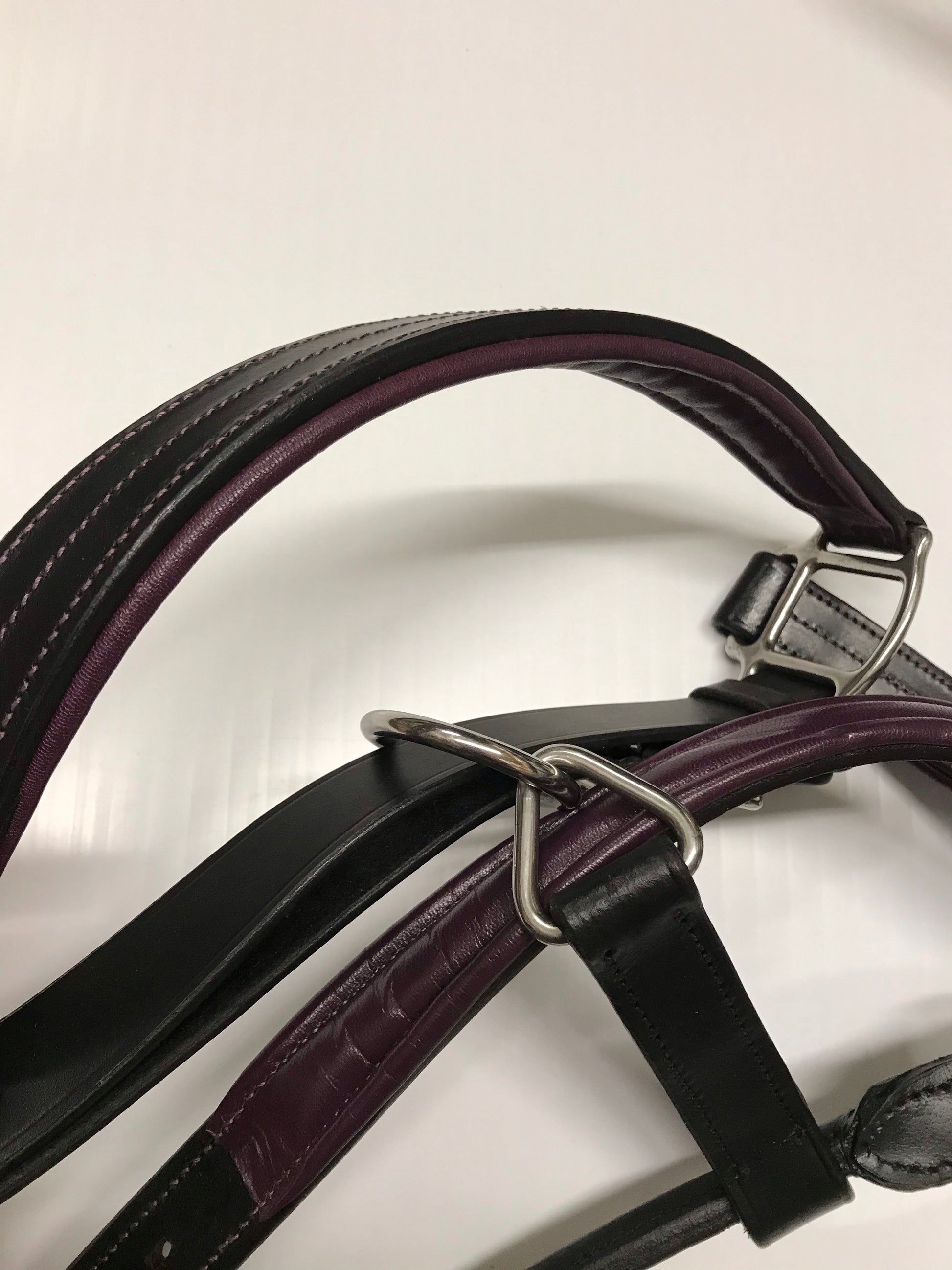 EFO Leather Halter with Colour Accents Halter Equestrian Fashion Outfitters - Equestrian Fashion Outfitters