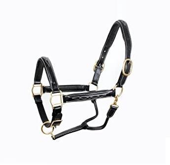 English Leather Halter Halter Equestrian Fashion Outfitters - Equestrian Fashion Outfitters