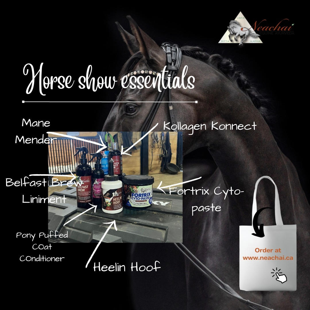 Horse Show Essentials | Neachai Ayurveda – Equestrian Fashion Outfitters
