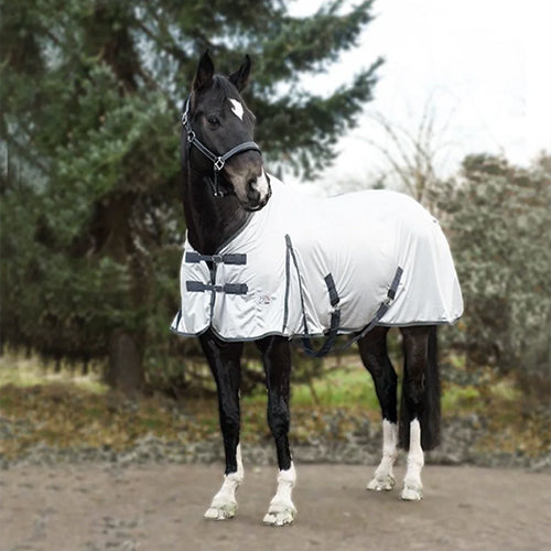 The Importance of Pony Blankets: Why Every Owner Needs One