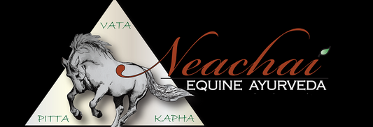 Ayurveda and Nutrition for Your Horse