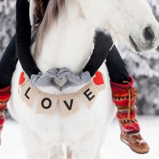 5 Ways to Celebrate Valentine’s Day with Your Horse