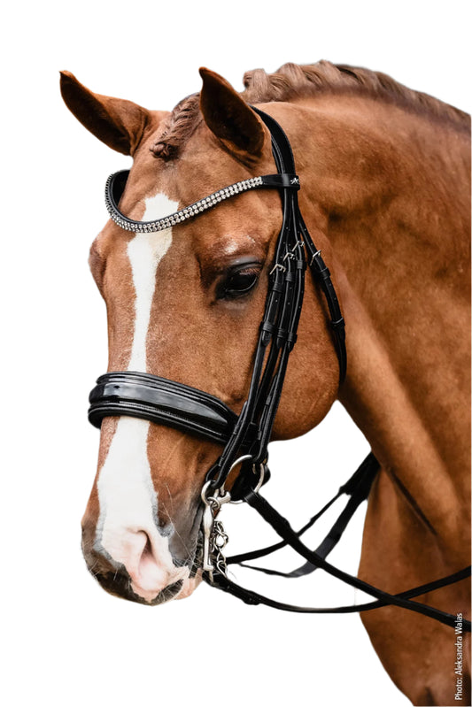 Schockemohle Monticelli Double Bridle
