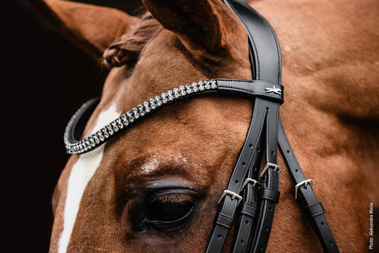 Schockemohle Monticelli Double Bridle