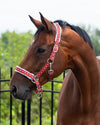 QHP Christmas Halter