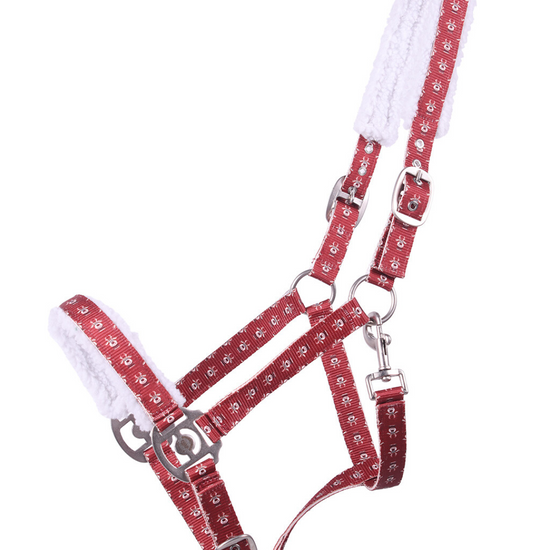 Red and white patterned horse halter with matching lead rope on a white background