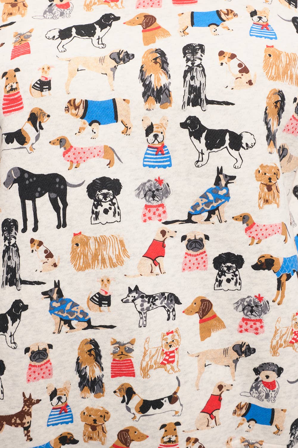 Colourful Dog Breeds Print Sweatshirt Sweater SM WARDROBE - Equestrian Fashion Outfitters