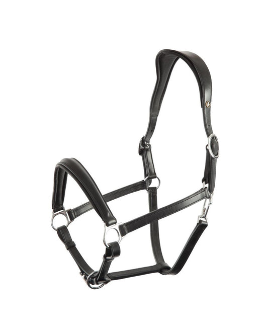 BR Aberdeen Halter