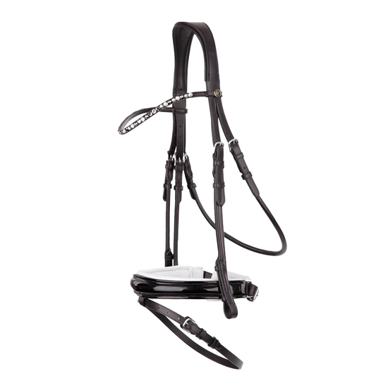 BR Andover Bridle  BR - Equestrian Fashion Outfitters