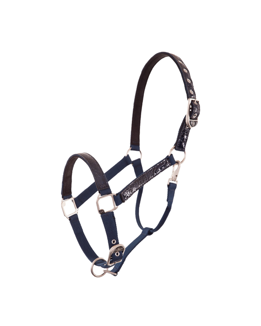 BR Croco Patent Halter  BR - Equestrian Fashion Outfitters