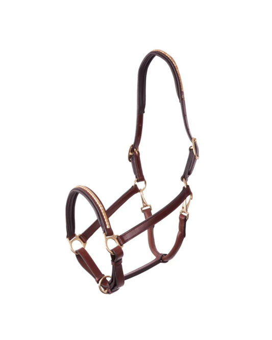 BR Glasgow Halter w/Studs