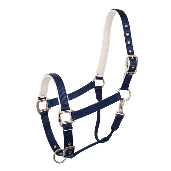 BR Event Nylon Halter  BR - Equestrian Fashion Outfitters