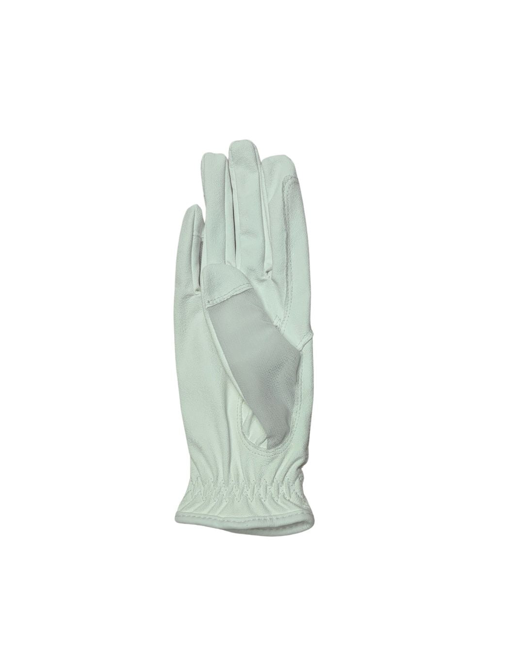 White equestrian glove on a white background