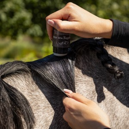 QHP Braiding Wax white stick on horses mane equestrian fashion outfitters