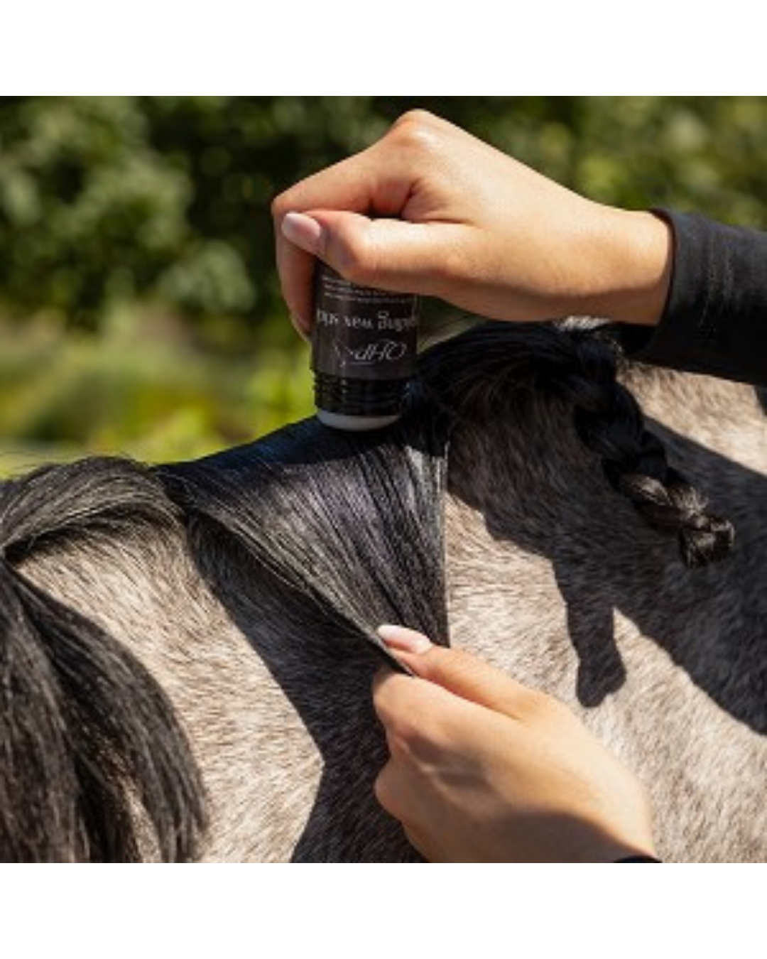 QHP Braiding Wax white stick on horses mane equestrian fashion outfitters