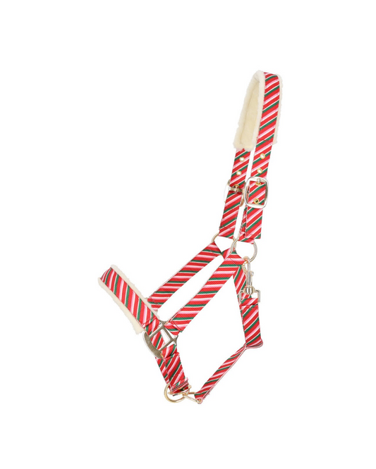 QHP Holiday Halter Halter QHP - Equestrian Fashion Outfitters
