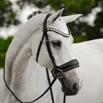 Lumiere Diva Bridle