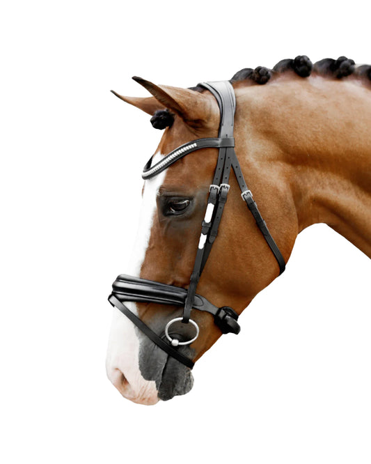 Lumiere Melodie Classic Bridle