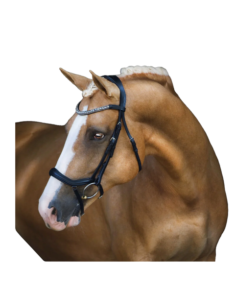 Lumiere Mila Anatomic Bridle Bridle Lumiere - Equestrian Fashion Outfitters