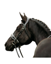 A close-up side profile of a dark horse wearing a white and black leather bridle against a solid white background equestrian fashion outfitters