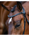 Close-up of a horse wearing a bridle with a blurred background