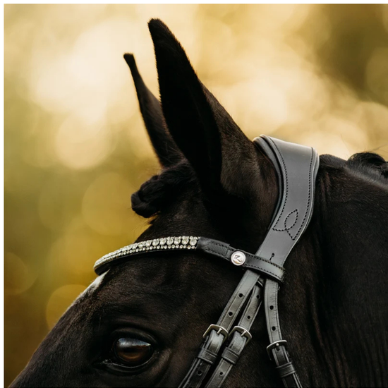 A close-up of a dark horse wearing a black leather bridle with a decorative silver rhinestone browband, set against a warm golden bokeh background equestrian fashion outfitters