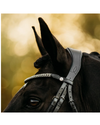 A close-up of a dark horse wearing a black leather bridle with a decorative silver rhinestone browband, set against a warm golden bokeh background equestrian fashion outfitters
