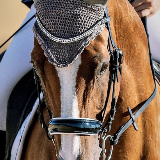 A close-up of a brown horse wearing a dark gray mesh protective headband or blind with silver trim, along with a black bridle with white padding on the nose and a patent noseband equestrian fashion outfitters