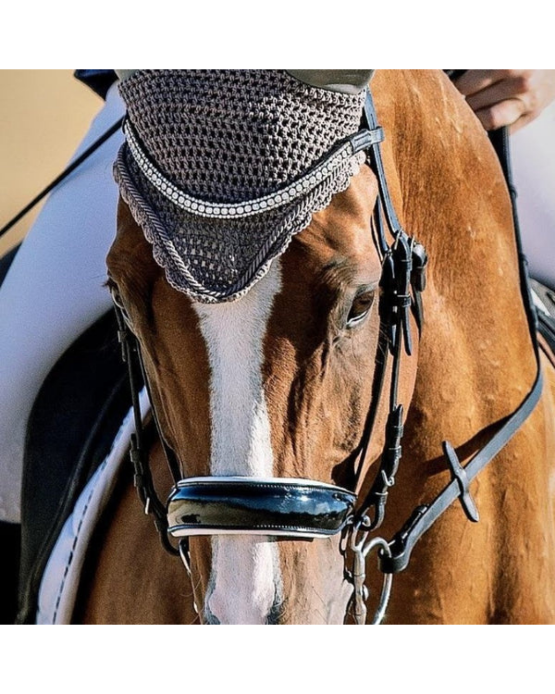 A close-up of a brown horse wearing a dark gray mesh protective headband or blind with silver trim, along with a black bridle with white padding on the nose and a patent noseband equestrian fashion outfitters