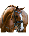 Lumiere Paris Bridle