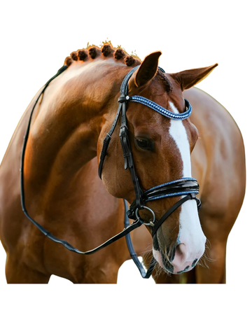 Lumiere Paris Bridle