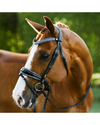 Lumiere Paris Bridle