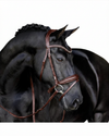 Lumiere Penny Bridle