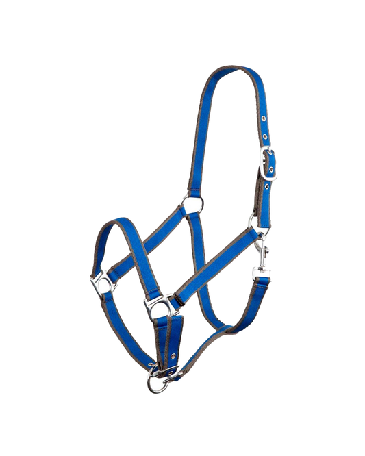 BR Premiere Strike Halter  BR - Equestrian Fashion Outfitters