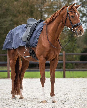 QHP Fleece Exercise Sheet Horse Blankets & Sheets QHP - Equestrian Fashion Outfitters