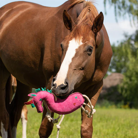Horse/Dog Toy Toys QHP - Equestrian Fashion Outfitters