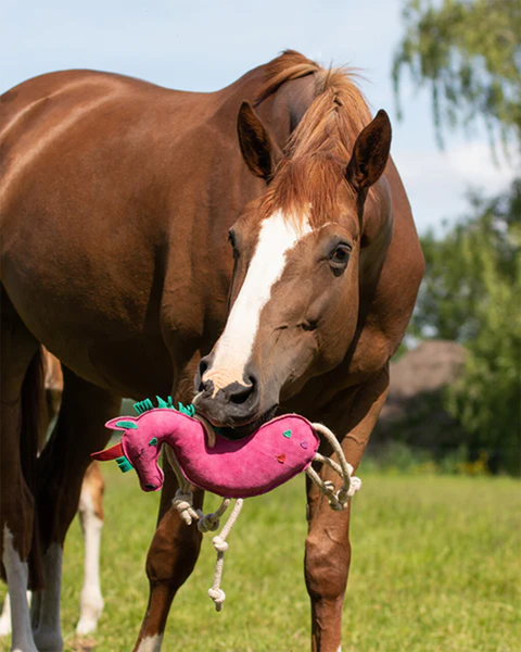 Horse/Dog Toy Toys QHP - Equestrian Fashion Outfitters