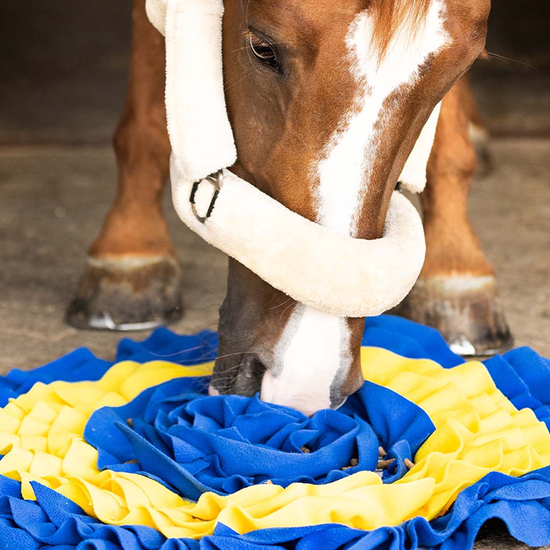 QHP Snuffle Mat For Horses  QHP - Equestrian Fashion Outfitters