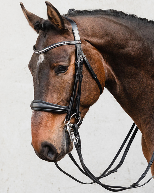 Schockemohle Milton Double Bridle  Schockemohle - Equestrian Fashion Outfitters