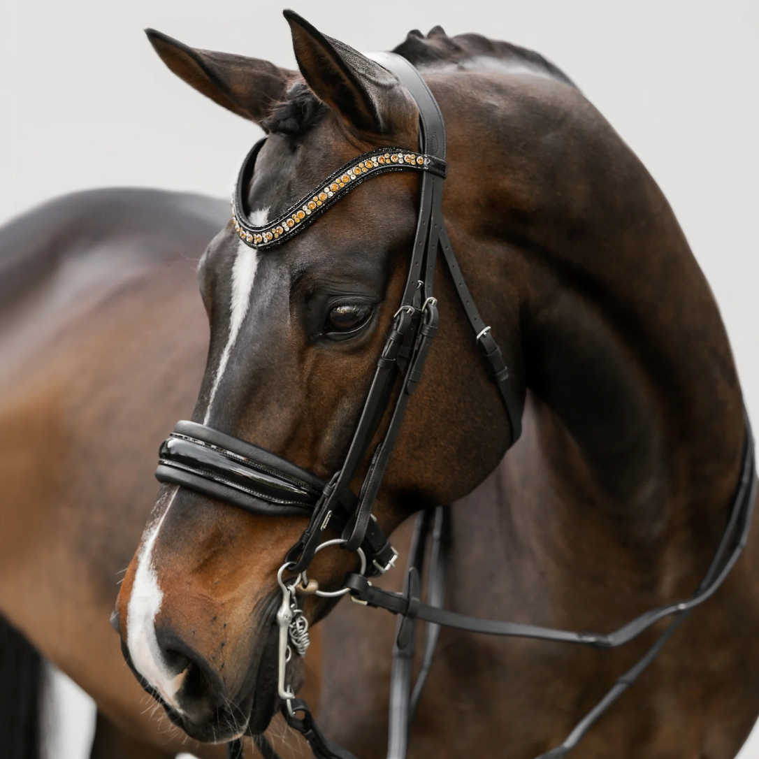 Lumiere Ariana Double Bridle Bridle Lumiere - Equestrian Fashion Outfitters