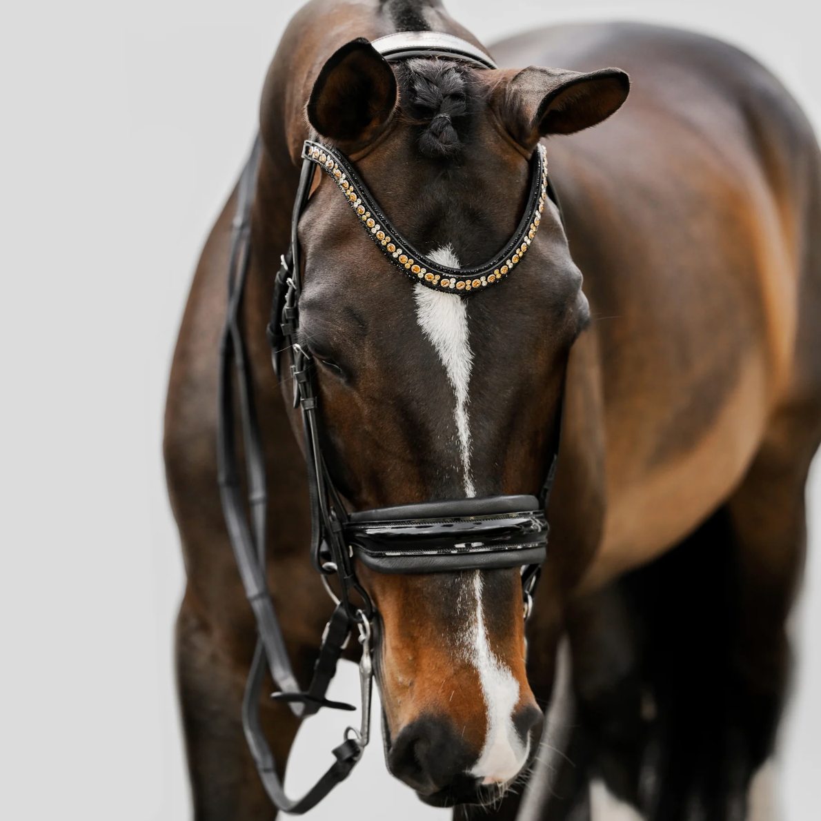 Lumiere Ariana Double Bridle Bridle Lumiere - Equestrian Fashion Outfitters