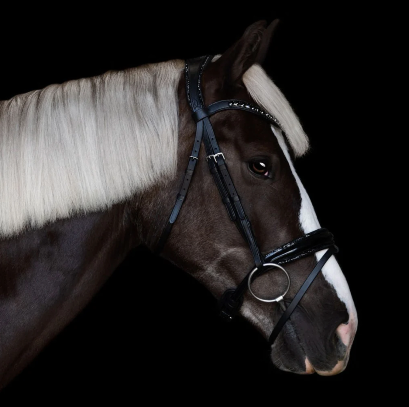 Lumiere Arcadia Luxury Snaffle Bridle Bridle Lumiere - Equestrian Fashion Outfitters