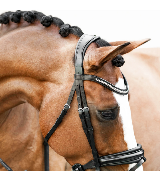 Lumiere Melodie Classic Bridle - Equestrian Fashion Outfitters