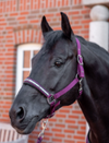 Horze SAMPLE Halter + Lead Sets